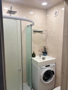 a bathroom with a washing machine and a sink at Ziemeļblāzma in Riga