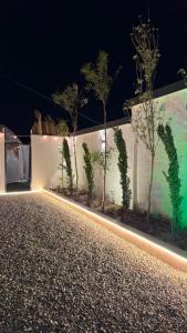 a wall with trees on the side of it at night at سكون in Al Baha