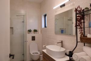a bathroom with a toilet and a sink and a shower at צימר פסטורלי בהגושרים in HaGoshrim +8 photos