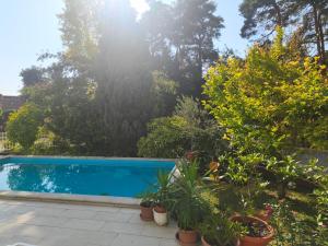 a swimming pool in a garden with plants and trees at Aquasol Apartman in Siófok
