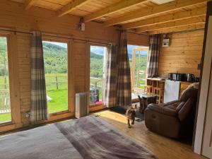 a living room with a cat walking through a room with windows at Star Gazer Cabin in Inversnaid