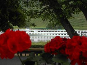 Gallery image of Ferienhaus Mosel in Brauneberg