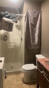 a bathroom with a shower with a toilet and a sink at Philomath place in Philomath