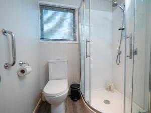 a bathroom with a toilet and a glass shower at Arrowtown Gold - Elevated Two Bedroom Apartment in Arrowtown