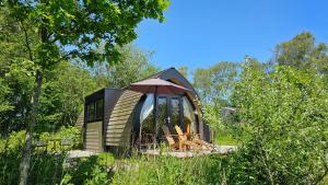 a cabin in the woods with a lot of trees at Tiny House De Houtekster in Westergeest
