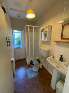 a bathroom with a toilet and a sink at Ardtarmon House in Sligo