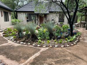 a garden in front of a house with plants at Kulilo Lodge in Thabazimbi +9 photos