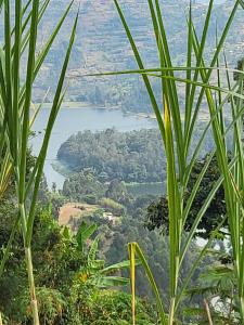 a view of a river from a mountain with trees at Ruhondo Campsite View in Muhororo +6 photos