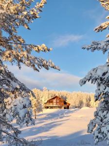 eine Blockhütte im Schnee mit schneebedeckten Bäumen in der Unterkunft Uven10 in Orsa