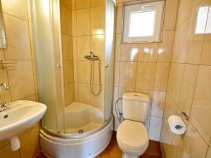 a bathroom with a shower and a toilet and a sink at Pelikan in Sianozety