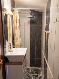 a bathroom with a sink and a shower at Appartement charmant à Roanne, terrasse in Roanne +4 photos