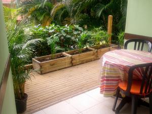 a patio with a table and a bunch of plants at Studio charmant à Sainte-Anne avec piscine privée, 25 m² in Sainte-Anne