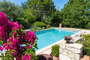 a swimming pool in a garden with pink flowers at Appartement charmant à Castéra-Lectourois avec piscine partagée in Castéra-Lectourois +10 photos