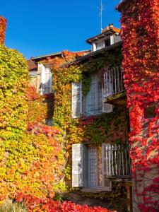 an ivy covered building with white shutters and windows at Studio confort à Néris-les-Bains - 18 m² avec jardin in Néris-les-Bains