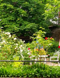 a garden with a bunch of flowers and a bench at Studio confort à Néris-les-Bains - 18 m² avec jardin in Néris-les-Bains +15 photos
