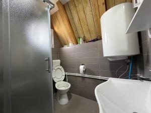a small bathroom with a toilet and a sink at Soko Guest House in Žabljak +31 photos