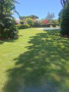a large shadow of a tree on the grass at Solar Pinheiros RC in Vilamoura