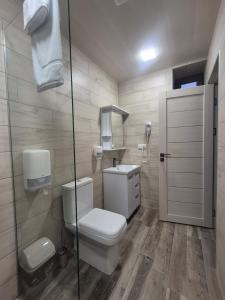 a bathroom with a toilet and a sink and a mirror at Musa Hotel in Yeghegis