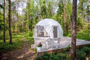 a tent in the woods with two chairs on a wooden deck at Bubble House glamping tent Odulemma in Odulemma +17 photos
