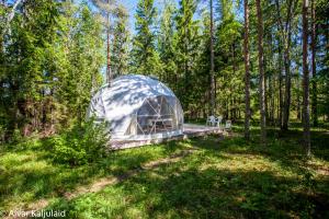 a dome tent in the middle of a forest at Bubble House glamping tent Odulemma in Odulemma