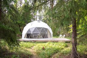 a tent in the middle of a forest at Bubble House glamping tent Odulemma in Odulemma