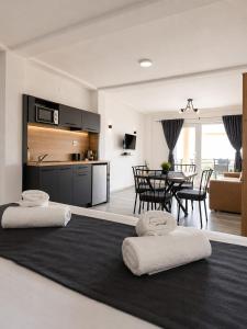 a kitchen and living room with two pillows on a rug at Apartments Sunset Jovanoski in Ohrid +31 photos