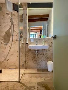 a bathroom with a shower and a sink at Hardthaus Gästezimmer in Kraiburg am Inn