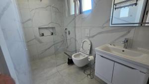 a bathroom with a shower and a toilet and a sink at AnDora in Donji Štoj +23 photos