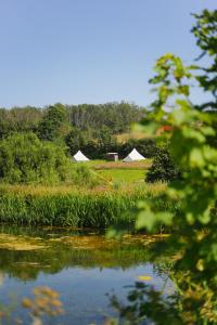 two tents in a field next to a body of water at Devon Belltents - Beesands in Kingsbridge +10 photos