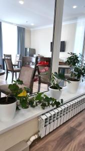 a table with potted plants on it with a mirror at Elegance Hotel Osh in Osh