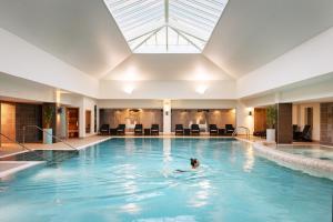 a dog swimming in a swimming pool with a skylight at Rookery Hall Hotel & Spa in Nantwich