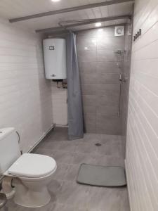 a small bathroom with a toilet and a shower at Cozy house for your holidays in Bernāti