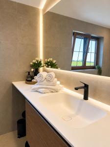 a bathroom with a sink and a mirror at Skoff Original Holzhaus in Eckberg