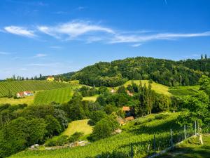 a view of a green hillside with trees and houses at Skoff Original Holzhaus in Eckberg