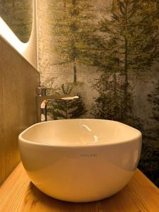 a white bowl sink in a bathroom with a wall at B&B Te Nìf in Predazzo