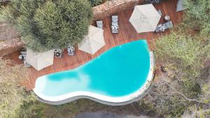 an overhead view of a swimming pool with tables and chairs at Last Word Makanyane in Laastepoort