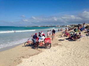 a group of people sitting in a cart on the beach at The Goose Nest in Struisbaai +14 photos