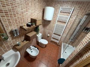 a bathroom with a toilet and a sink at La Sima del Anillo in Cardaño de Abajo