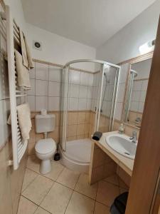 a bathroom with a toilet and a sink at Velvet Motel in Hegyeshalom