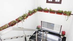 a stairway with potted plants on a white wall at Dimora Homes, Bir in Bīr