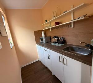 a kitchen with a sink and a counter top at Hostel Nordkirchen by Frerichmann in Nordkirchen