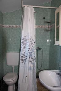 a bathroom with a toilet and a shower curtain at Apartment Sara in Pomer +60 photos