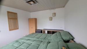 a bedroom with a green bed and a desk at Ferienwohnung bei Stettens in Bad Neuenahr-Ahrweiler