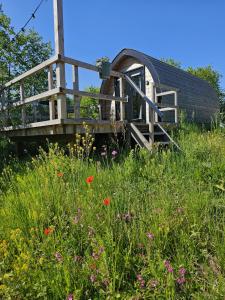 a wooden house in a field of flowers at Tiny House De Skierroek in Westergeest