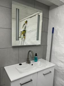 a bathroom with a sink and a mirror and skiers at Gårdshytten, Dverbergveien 143 in Dverberg