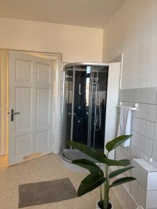 a bathroom with a shower and a plant in front of a door at Tolle Moderne Altbau Wohnung in Hohenlockstedt