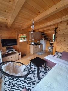 a living room with a couch and a tv in a cabin at Splav Zaliv, Perućac in Aluga +10 photos