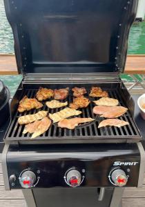 a grill with a bunch of food on it at Splav Zaliv, Perućac in Aluga
