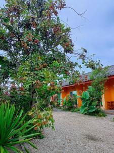 a house with a tree with fruits on it at Six Nature Resort in Chiang Rai