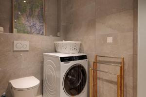 a washing machine in a bathroom next to a toilet at Chalet Belle Poncke by Jolidi in Nendaz